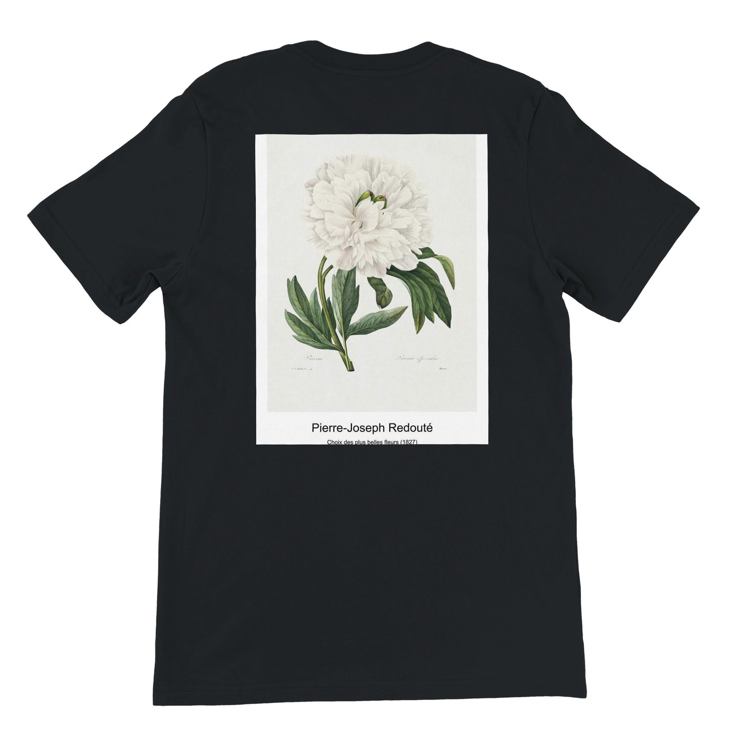 5f3d1d20-b30e-4935-a9c2-86f638d19c57