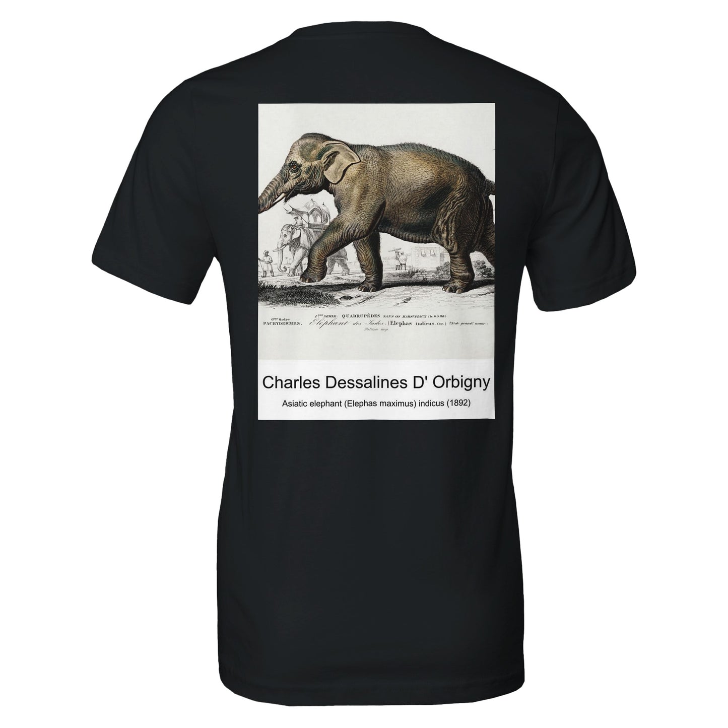 5f4c4165-f7c6-4a93-9f0c-c1101c14bcce