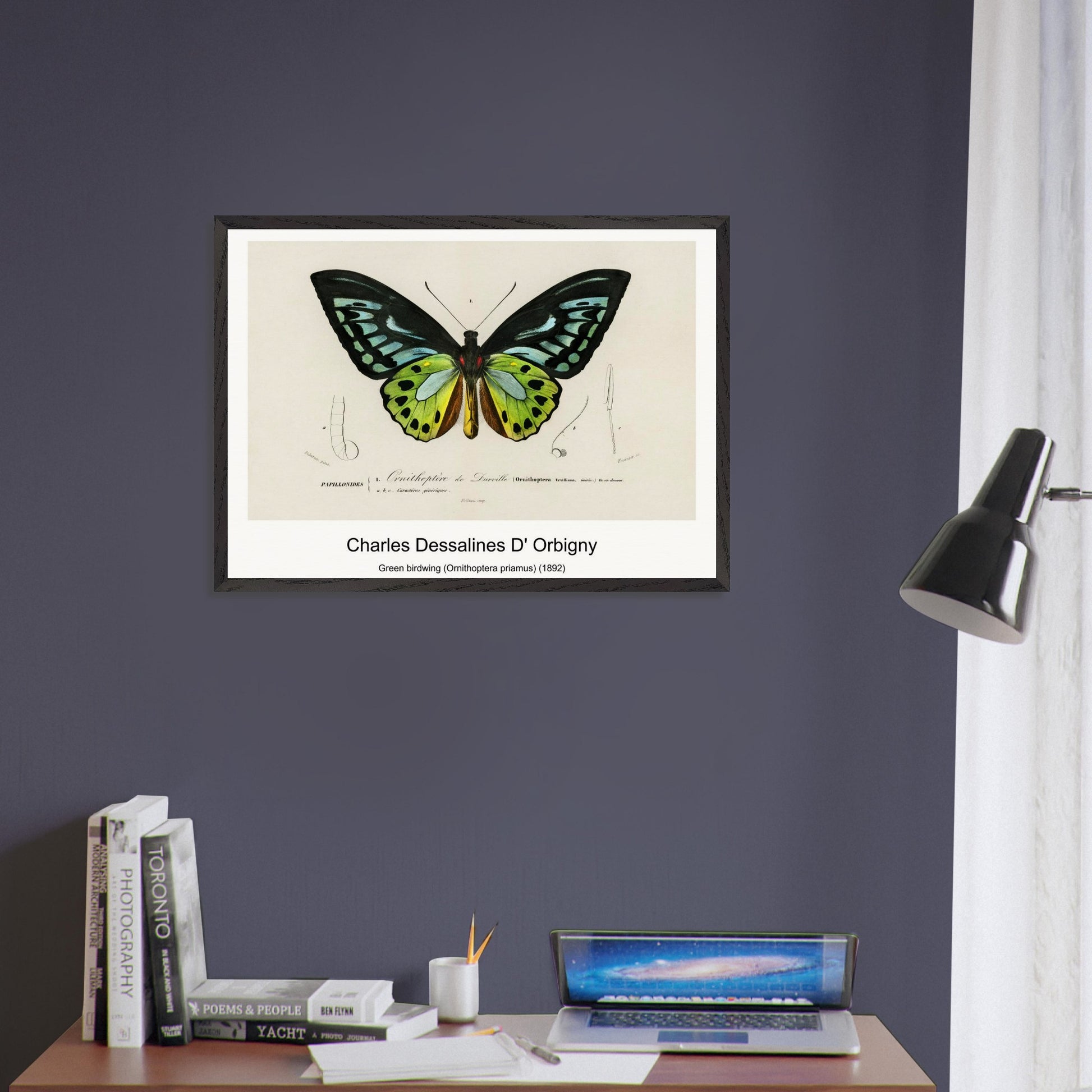 5f9eee08-a0f3-45fa-a9bb-f60f03783af3