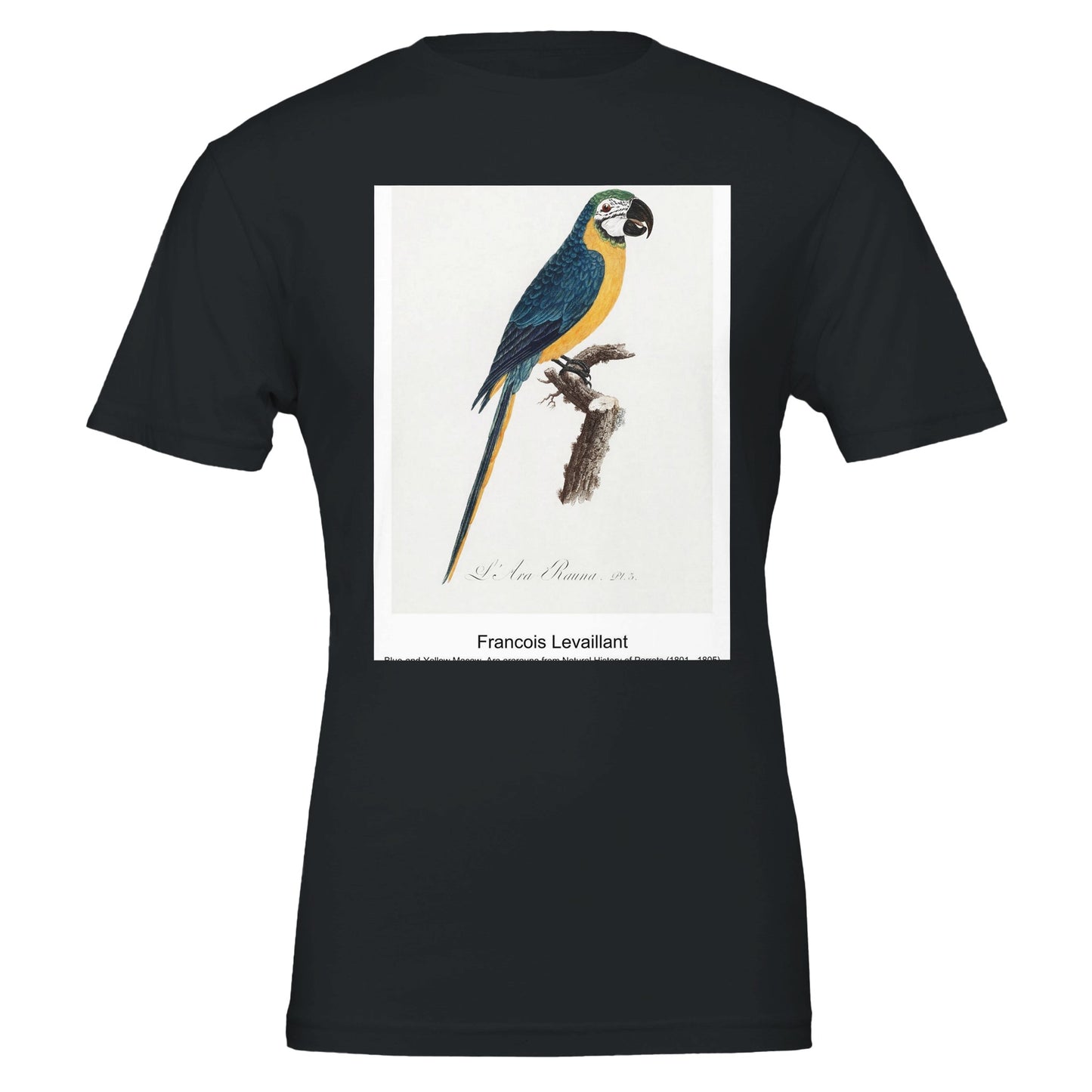 5ff34ee8-7ec0-4f4b-9d82-eca55947ee0f