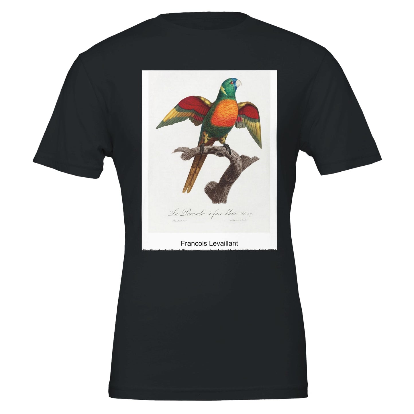 6062ddee-857e-4e52-a6ec-94a2643c0451