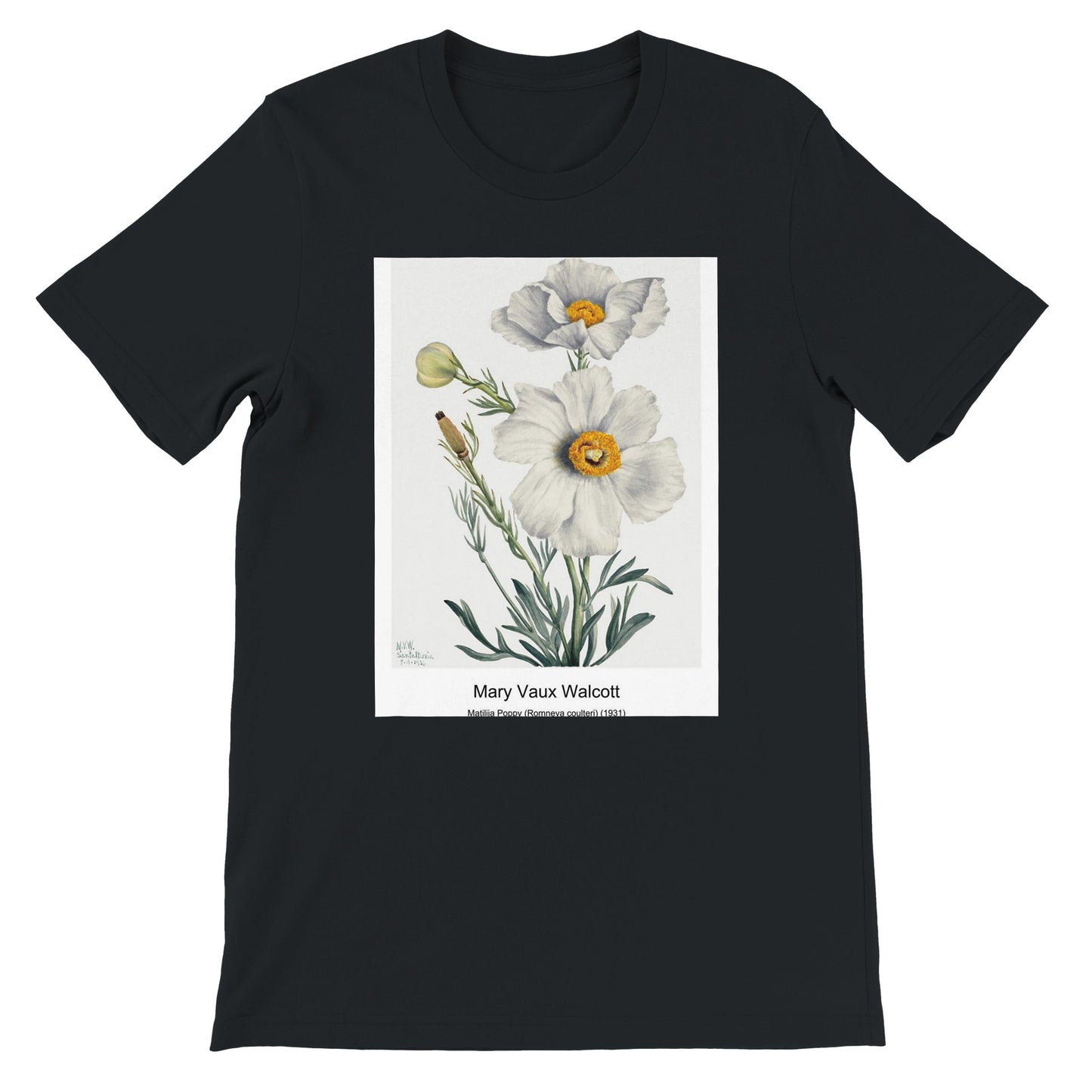 611ab5c2-b6b9-4ddf-a623-04a2fa2e589d