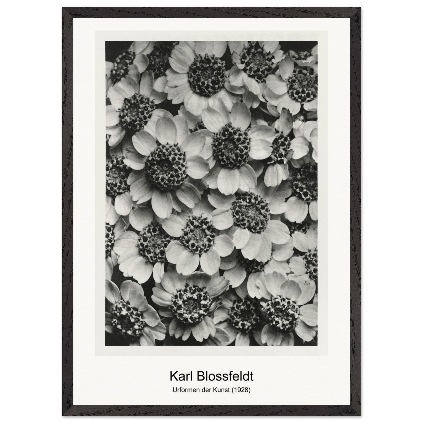 6134afe6-0289-4232-a27f-f0f4863a2b45