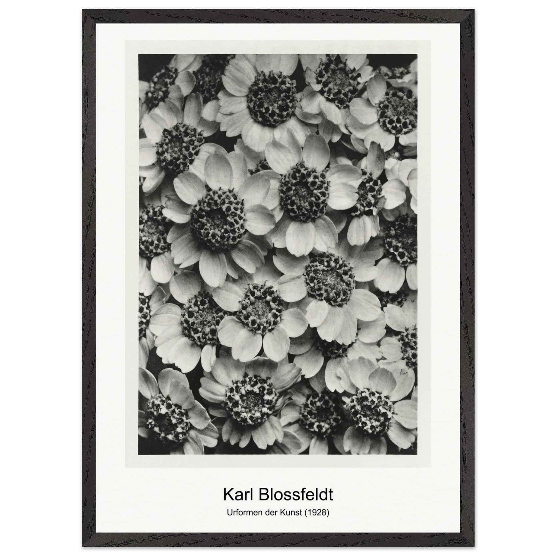 6134afe6-0289-4232-a27f-f0f4863a2b45