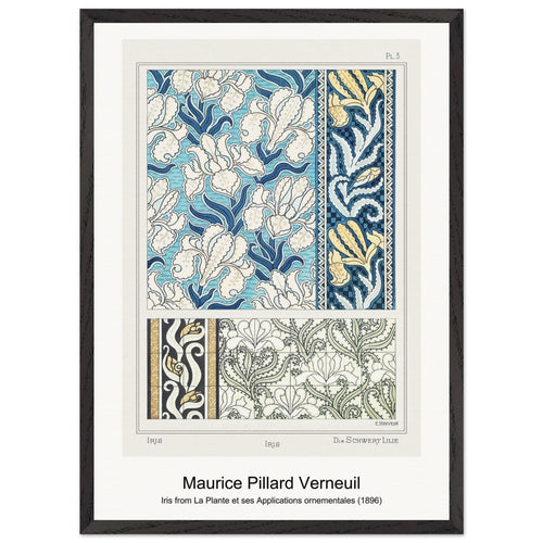 Iris from La Plante et ses Applications ornementales (1896) by Maurice Pillard Verneuil. Archival Print on Museum Quality Matte Paper. Premium Wood Framed Wall Art. Optimised Aspect Ratio.