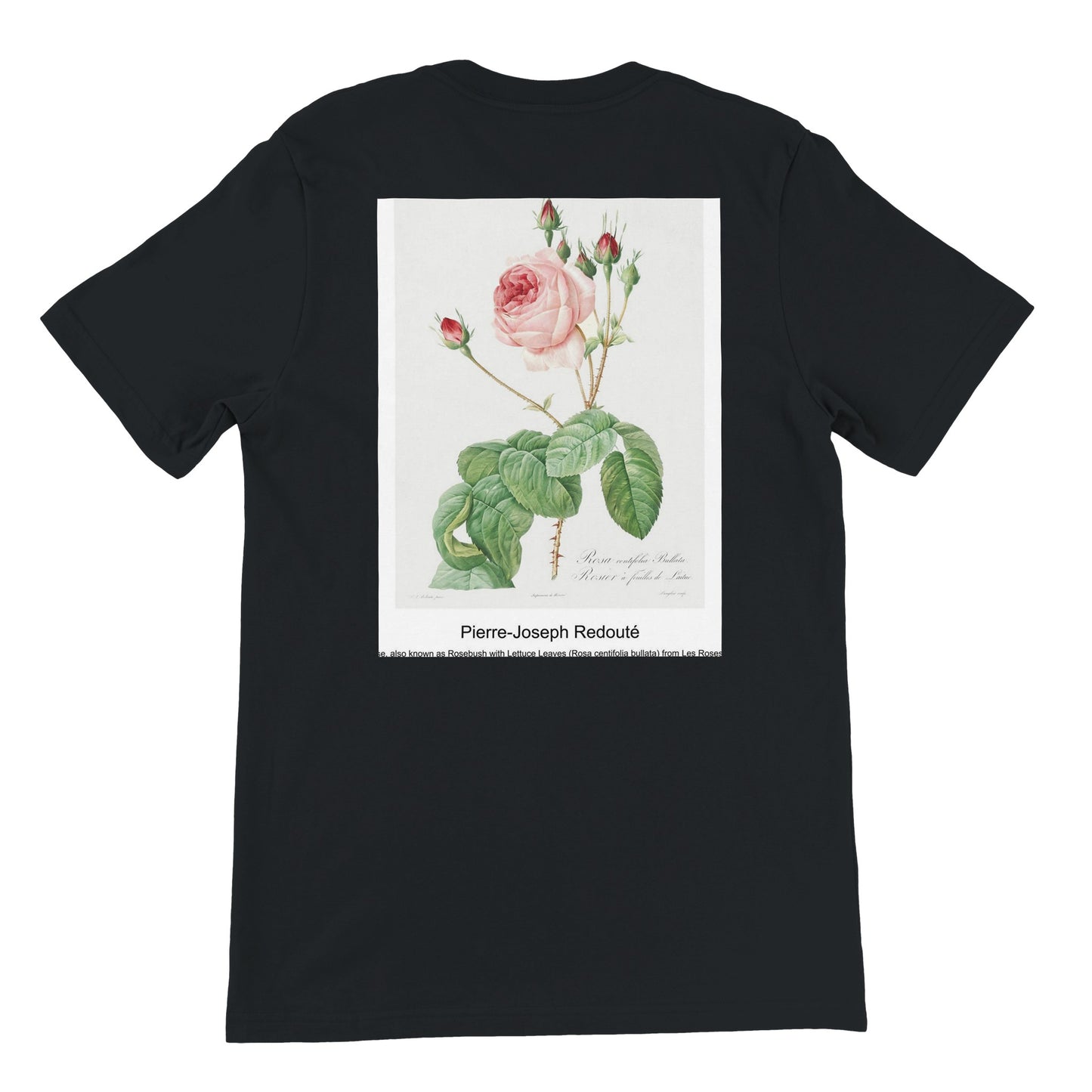 61e8a61a-d96a-47fe-8452-30ba424bd207