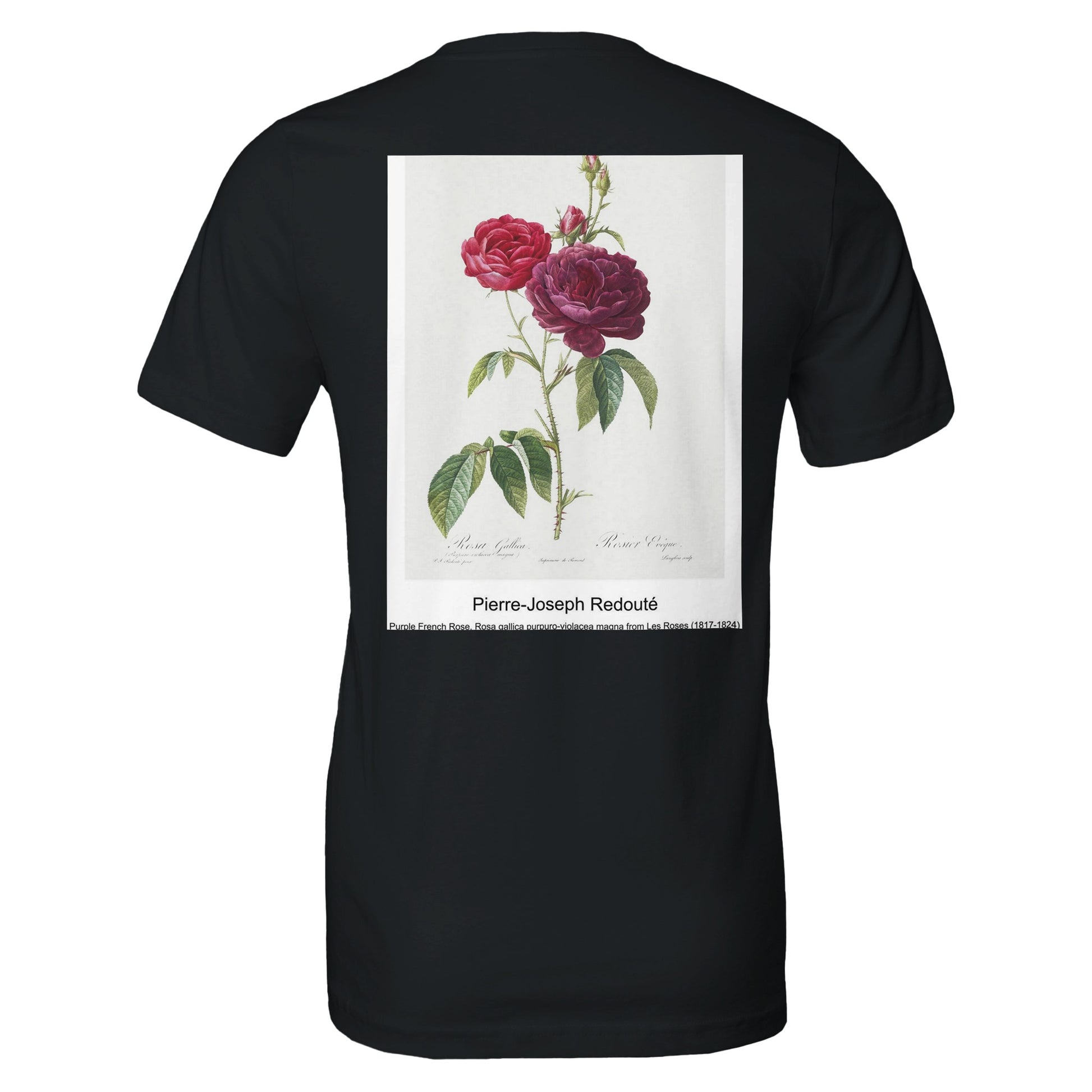 61fd3b2e-1473-4b43-ad6a-79c3259d9cc9