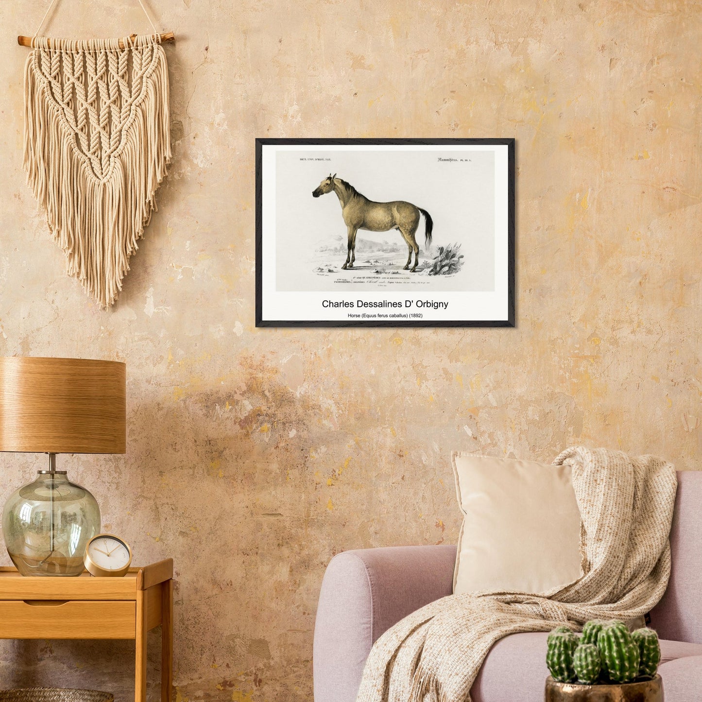 623c72b2-d64c-4de0-ba6d-092b26b48f3a