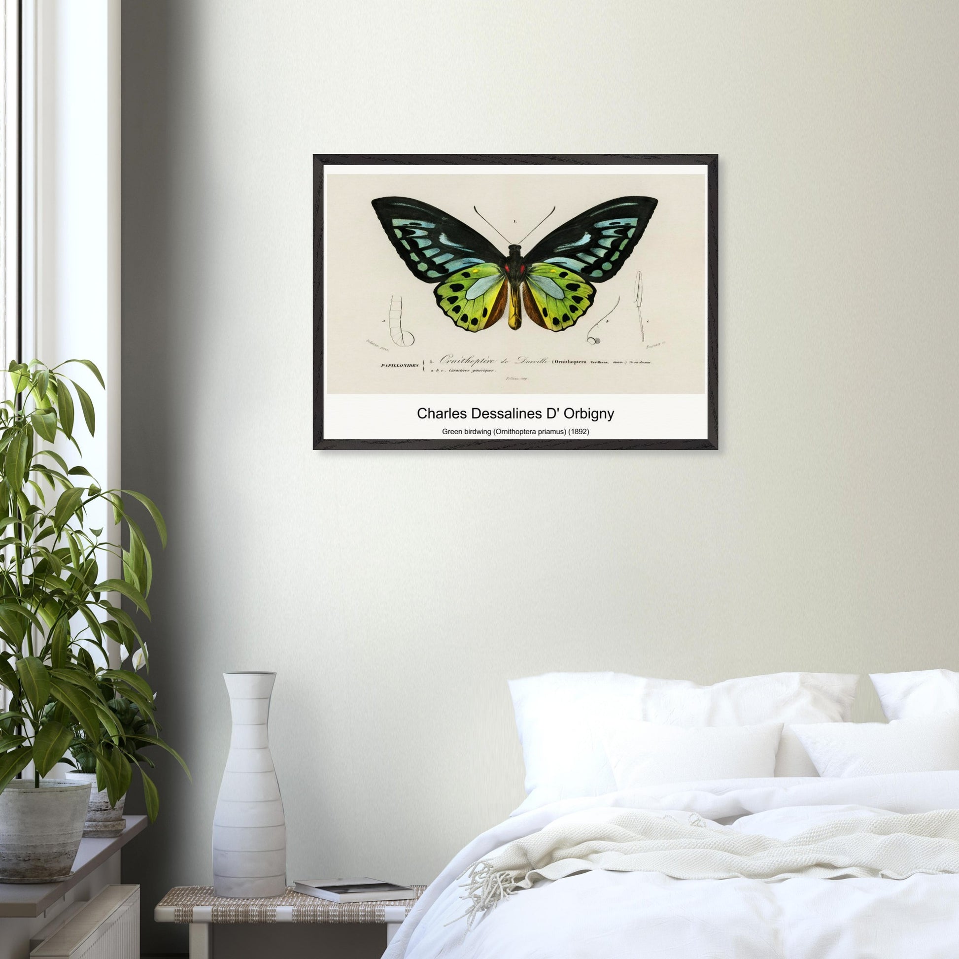 6264e2f7-d4b8-480e-91d9-308c6fc4a81d