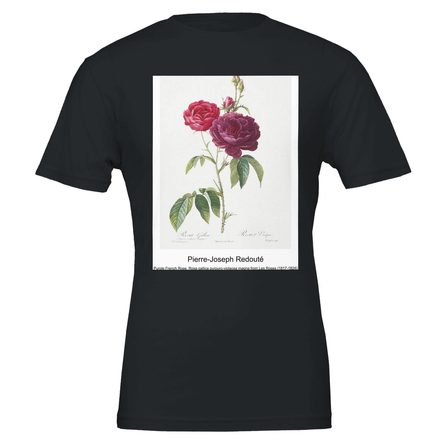 6271502f-c6a7-4761-96a4-5dcba69ecefd