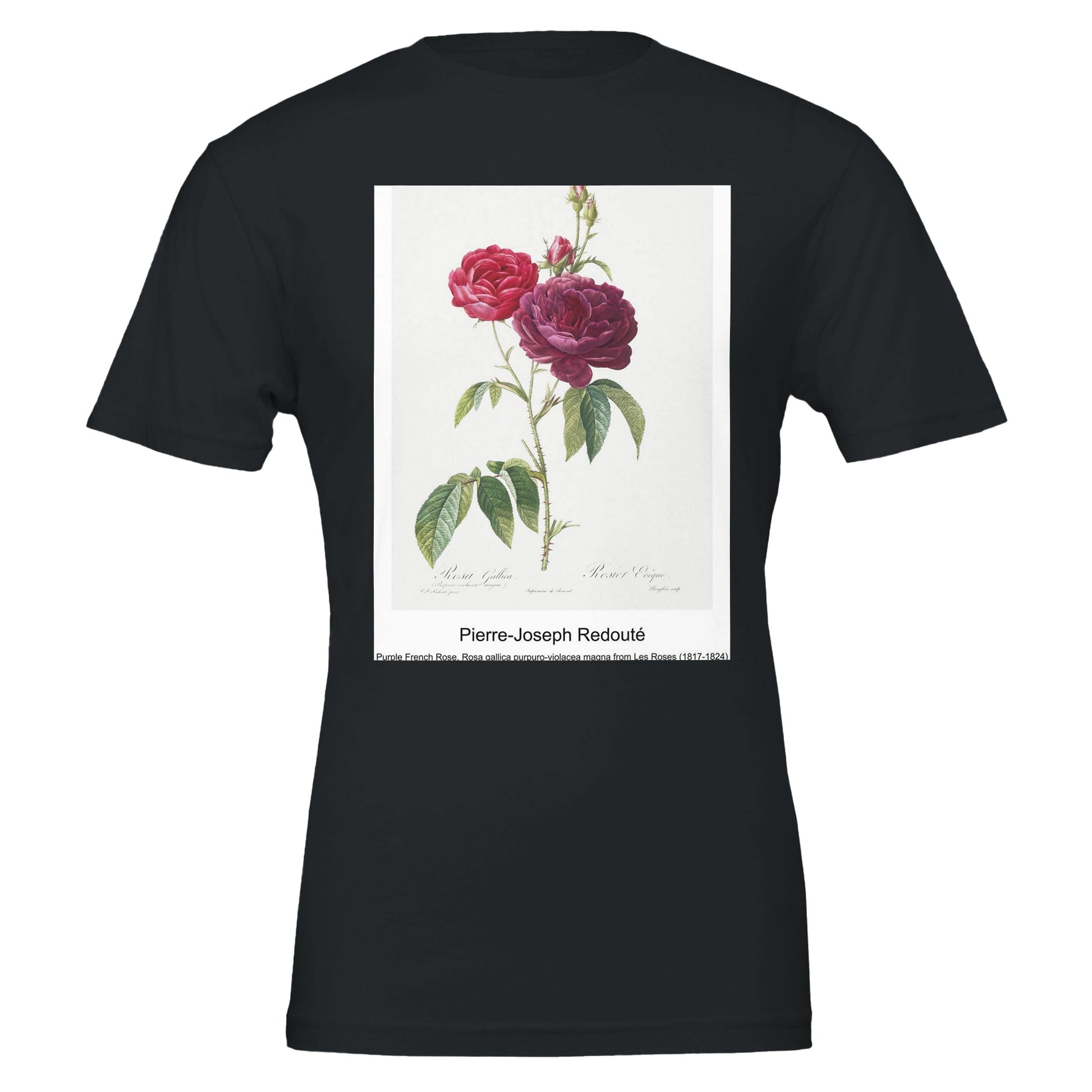 6271502f-c6a7-4761-96a4-5dcba69ecefd