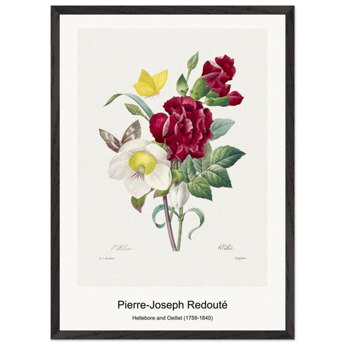 Rosa Centifolia Anglica Rubra (1817-1824) by Pierre-Joseph Redouté and Henry Joseph Redouté. Archival Print on Museum Quality Matte Paper. Premium Wood Framed Wall Art. Original Aspect Ratio