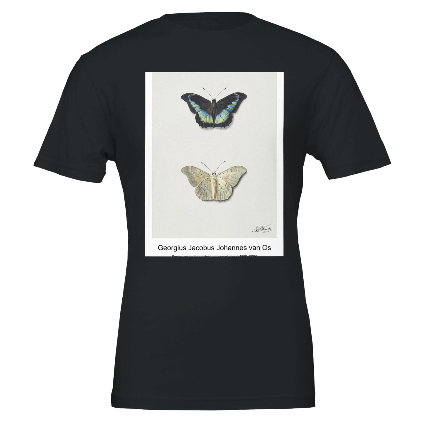 6341a288-d2b9-45b1-9278-93762bc47089