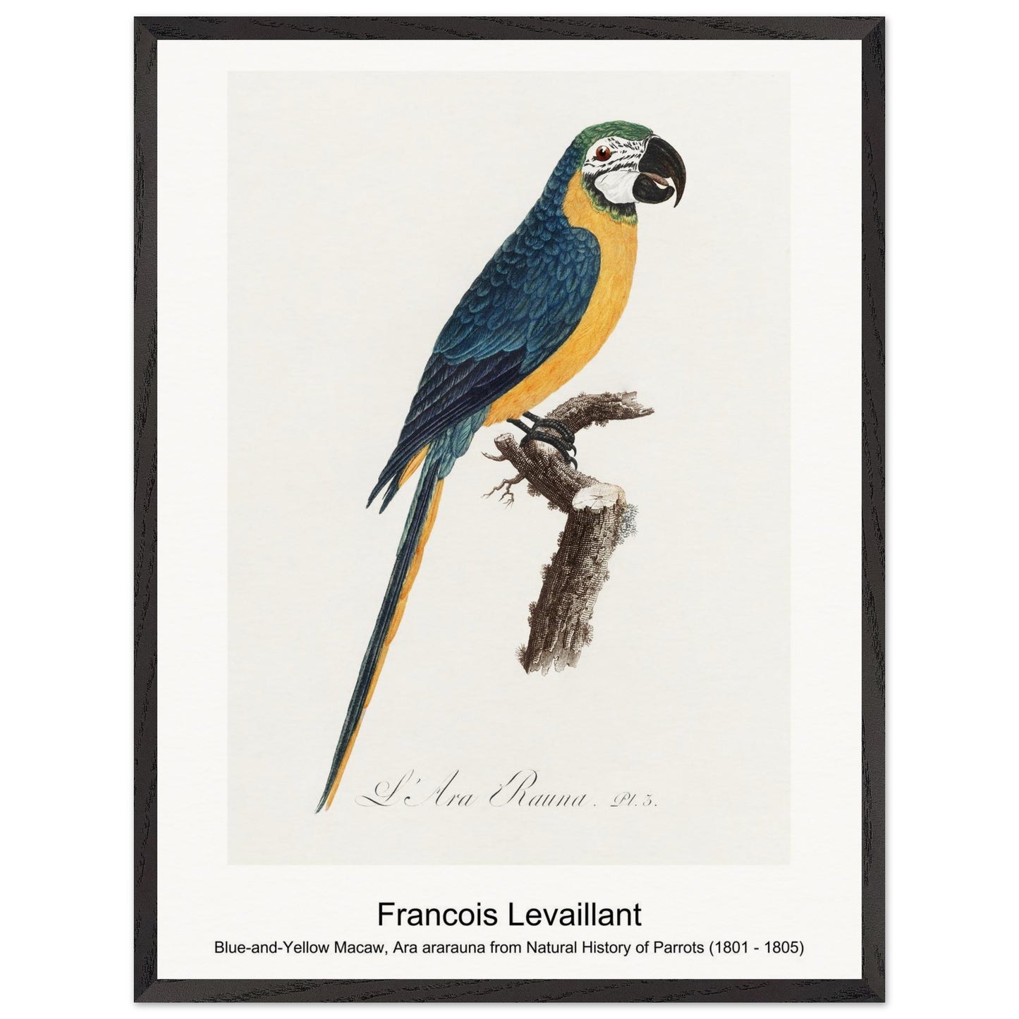 635fcdd4-ebf4-4dea-a110-b8e2f50e859e