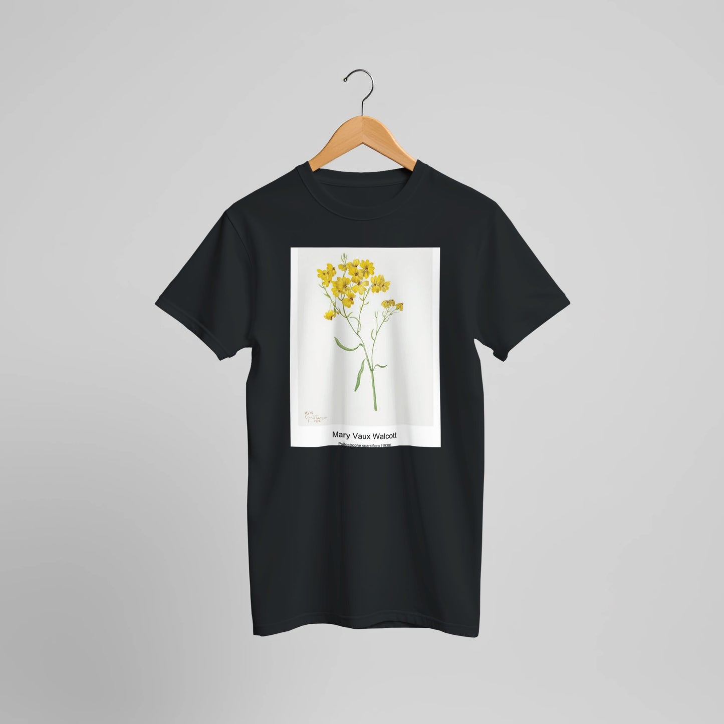 63753830-8004-4f7a-906f-40d3d48845f2