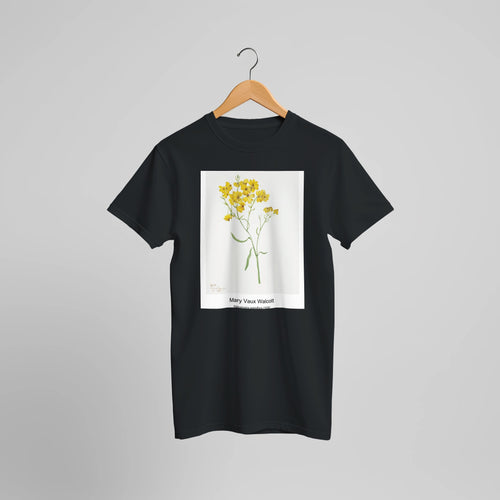Psilostrophe sparsiflora (1938) by Mary Vaux Walcott. Custom Print on a 100% Airlume Combed and Ring-Spun Cotton Unisex Crewneck T-shirt Optimised Aspect Ratio.
