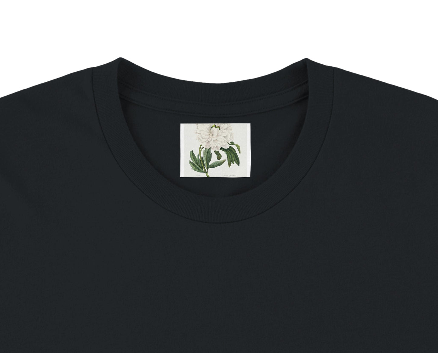 638ec961-5695-4111-8b41-ac5c60b7c221