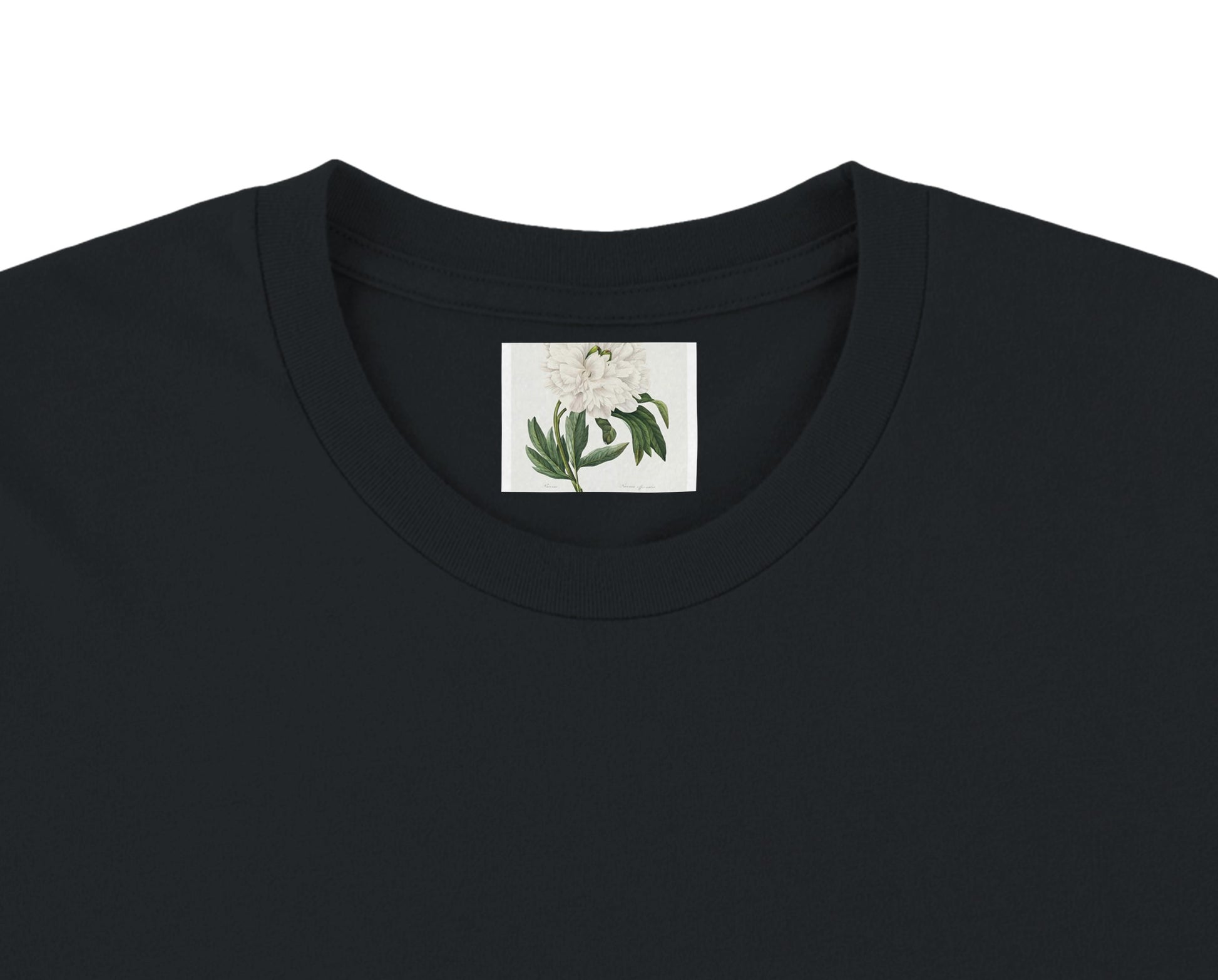 638ec961-5695-4111-8b41-ac5c60b7c221