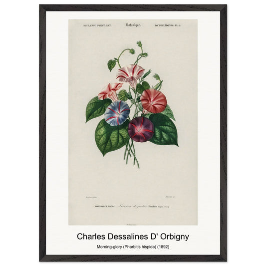 6428c031-1043-49ed-bd47-8630ebcf4e10