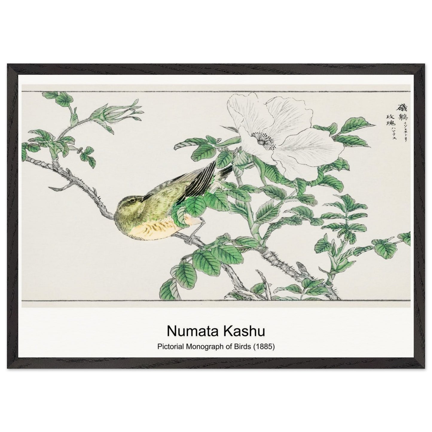 644ea08d-0303-4435-a8d1-e5f2f6fcc536