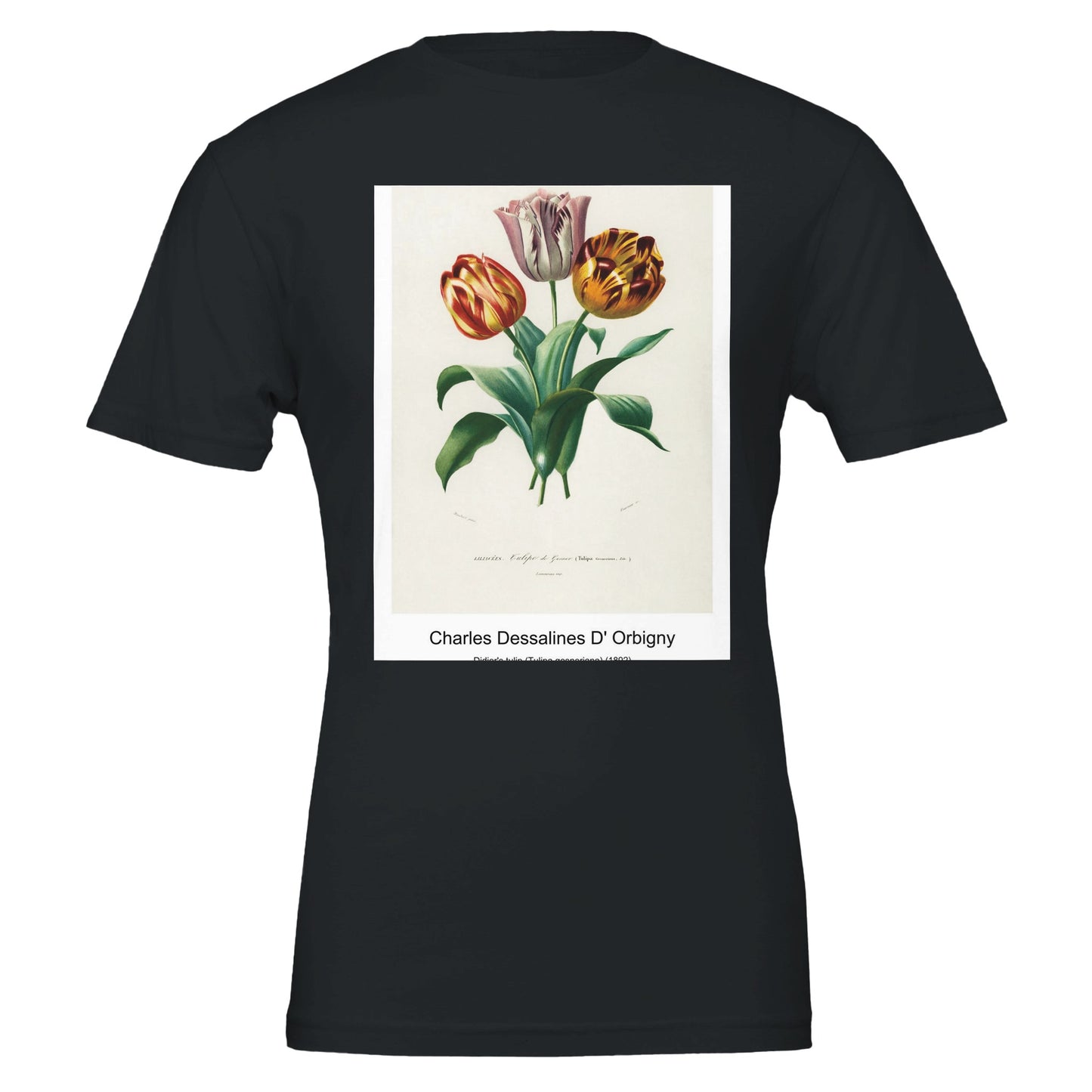 6484e3fe-3a27-46b1-8d52-3d8936e14eb1