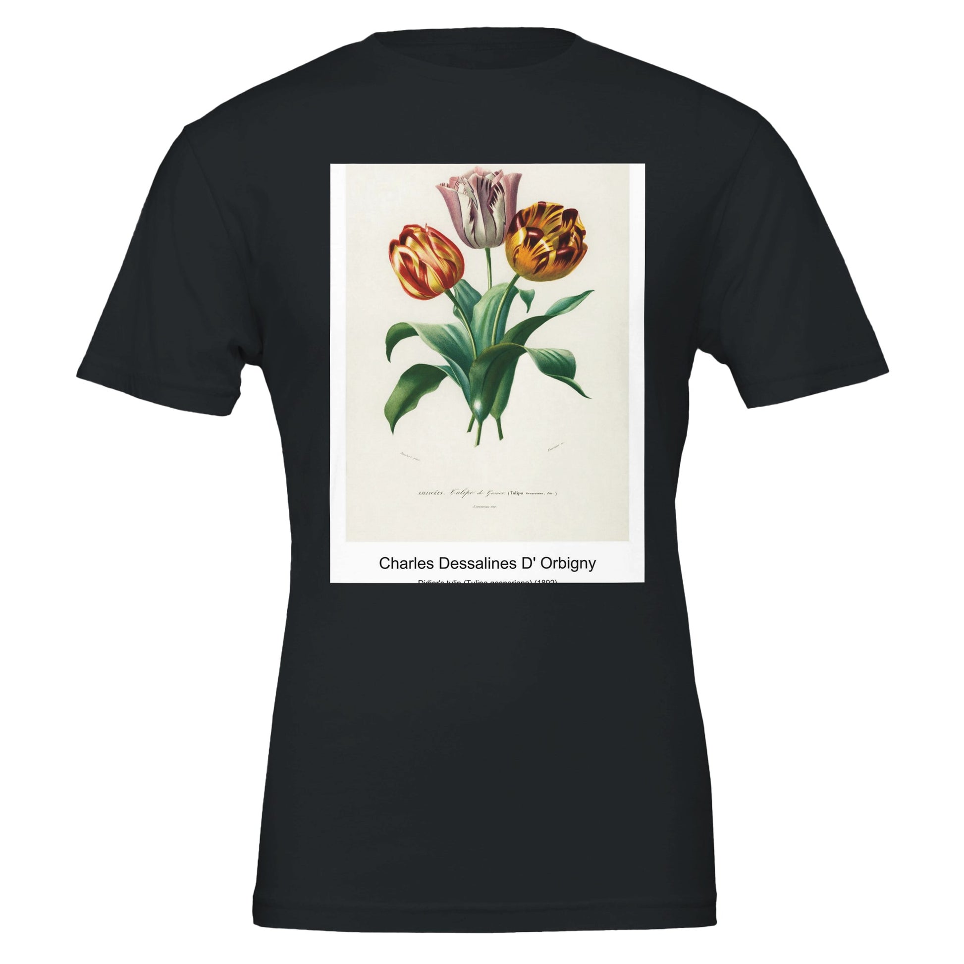 6484e3fe-3a27-46b1-8d52-3d8936e14eb1