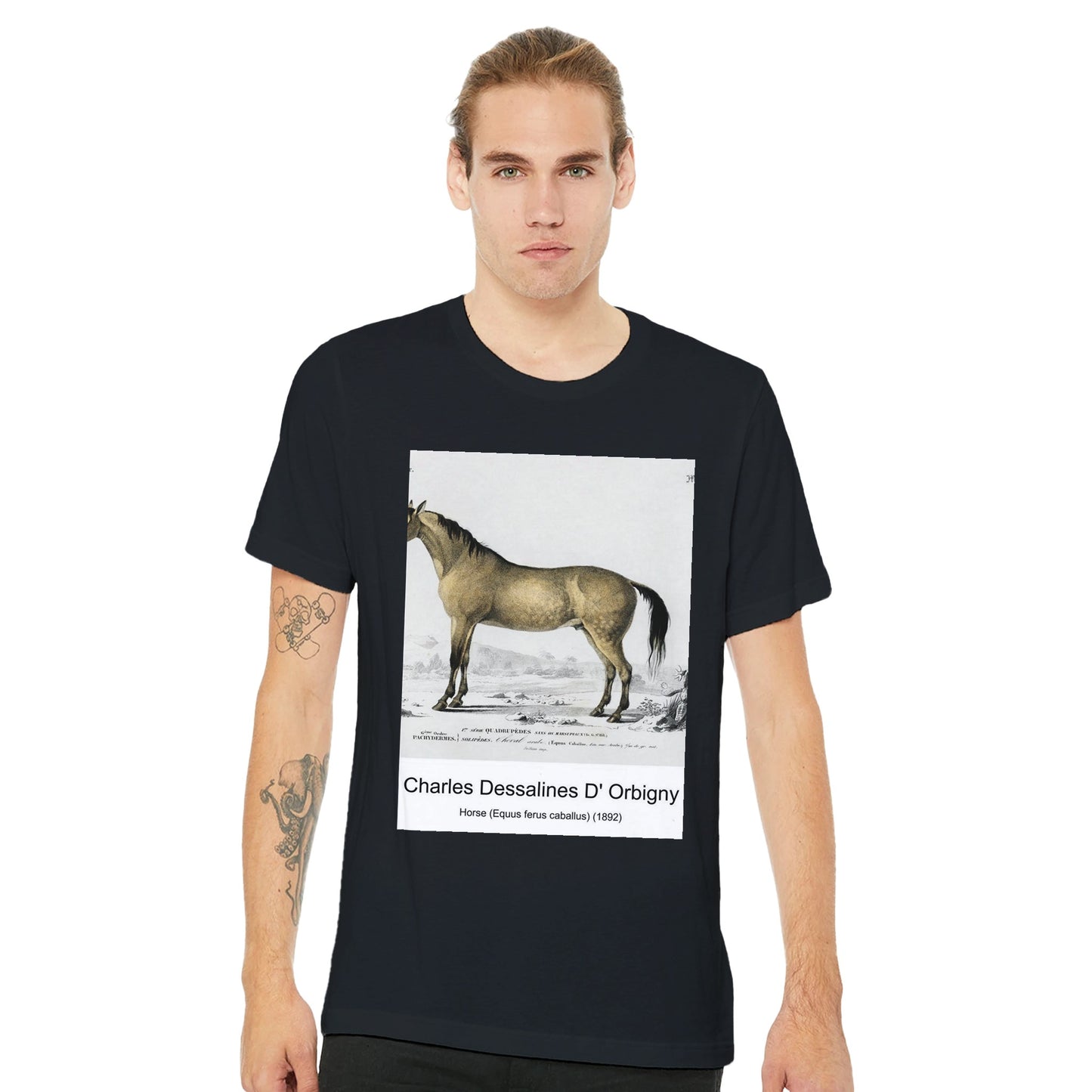 64ee4195-7799-4eee-8b87-2f8efe61f807