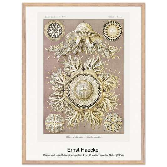 6524c1e9-0c25-4b5e-ae54-0bd2125134e9