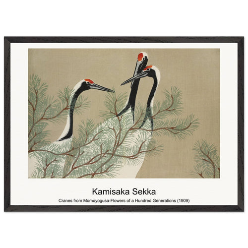Cranes from Momoyogusa-Flowers of a Hundred Generations (1909) by Kamisaka Sekka. Archival Print on Museum Quality Matte Paper. Premium Wood Framed Wall Art. Original Aspect Ratio