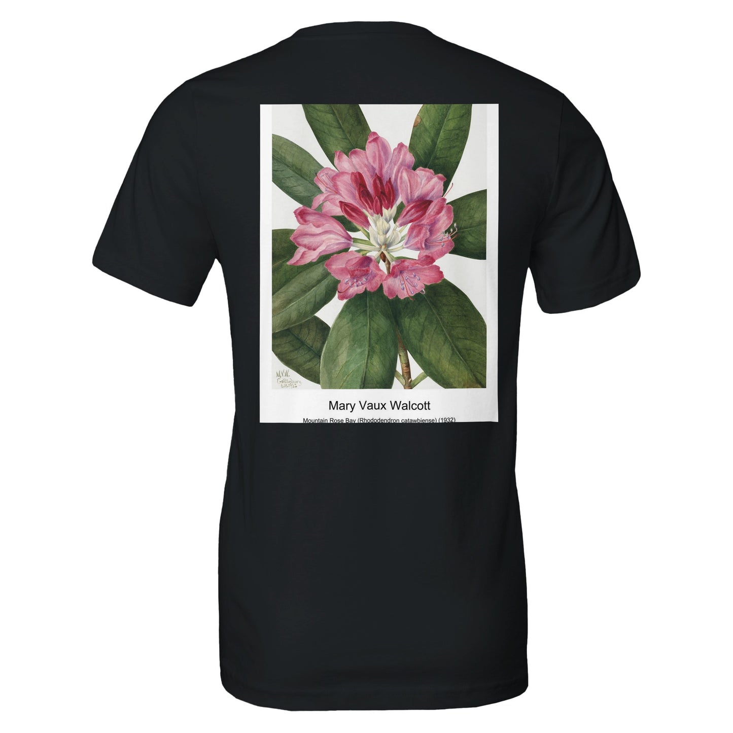 654ac418-ff7d-4d10-94ef-3ef8a44b61ed