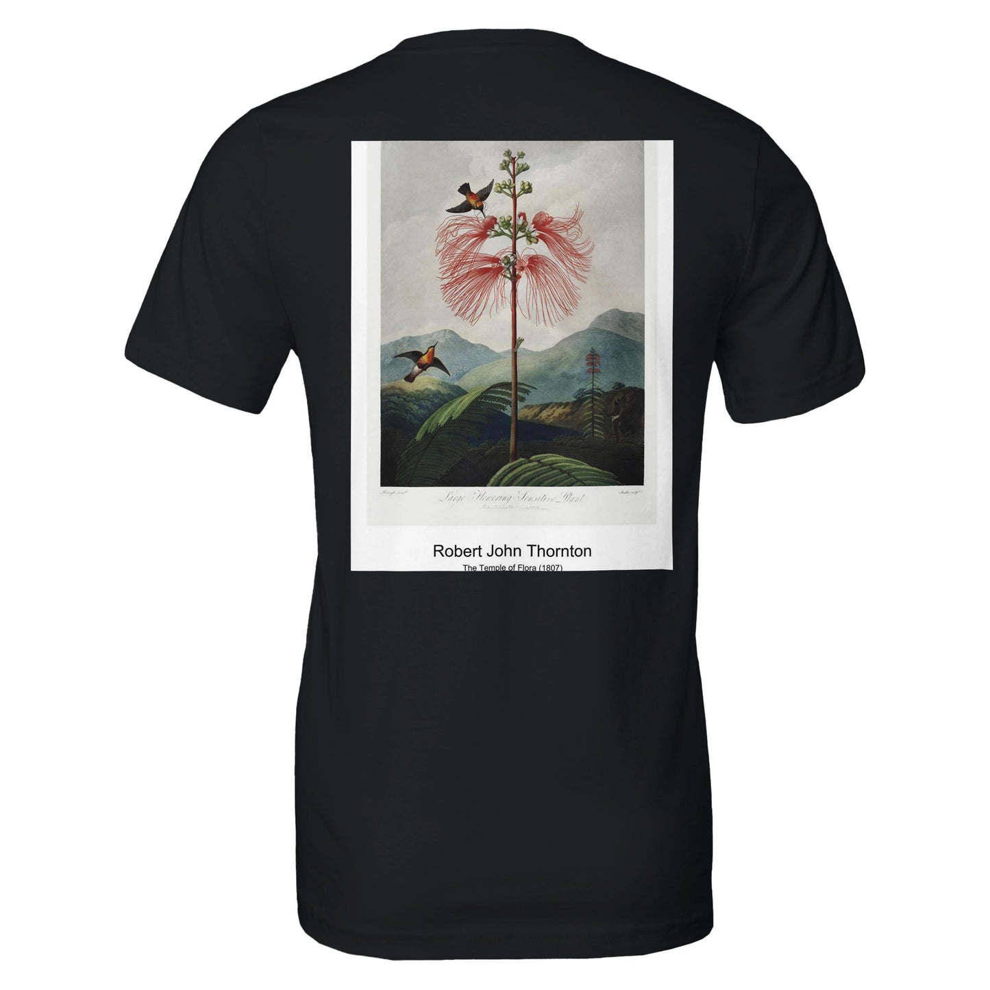 658456c0-248e-4ffc-afbe-a37677715844