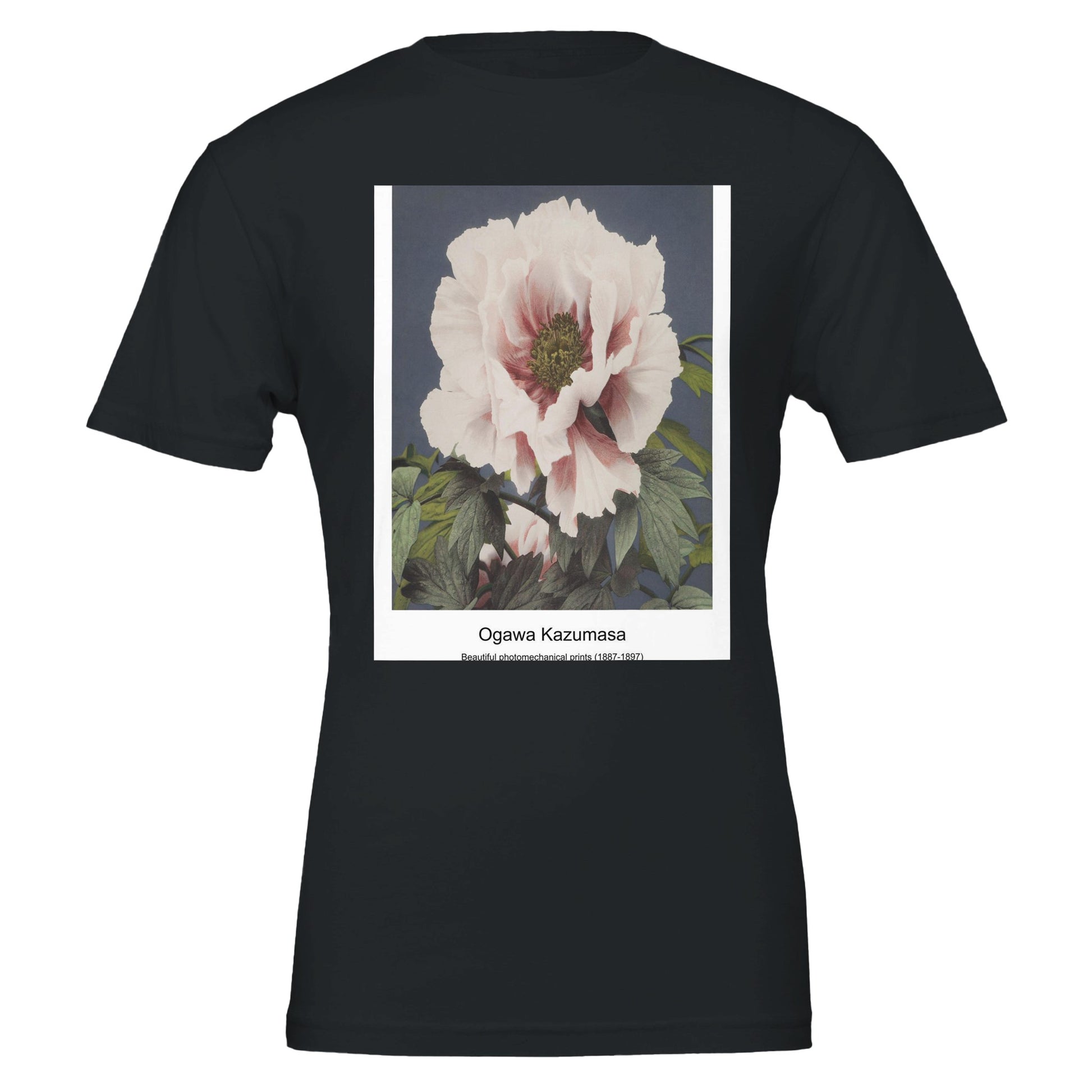 65c47590-cf0d-4988-a49d-ba3471007178