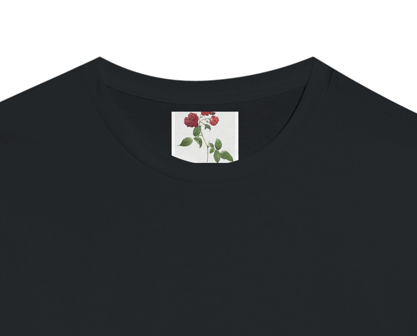 666b368f-7d33-4186-9c73-e4bae467fa3c