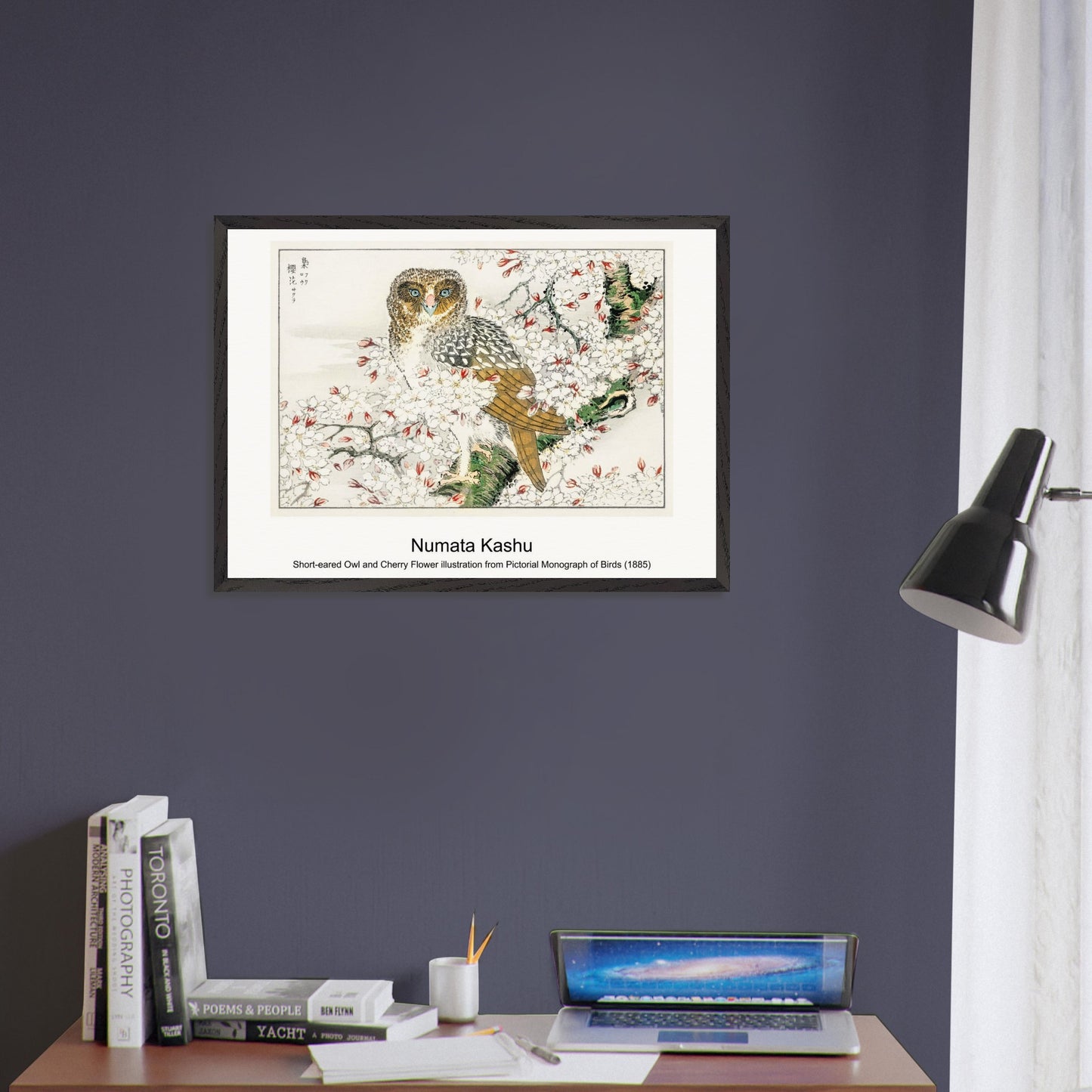 66797563-0648-4adf-9d5f-a0fb76932000