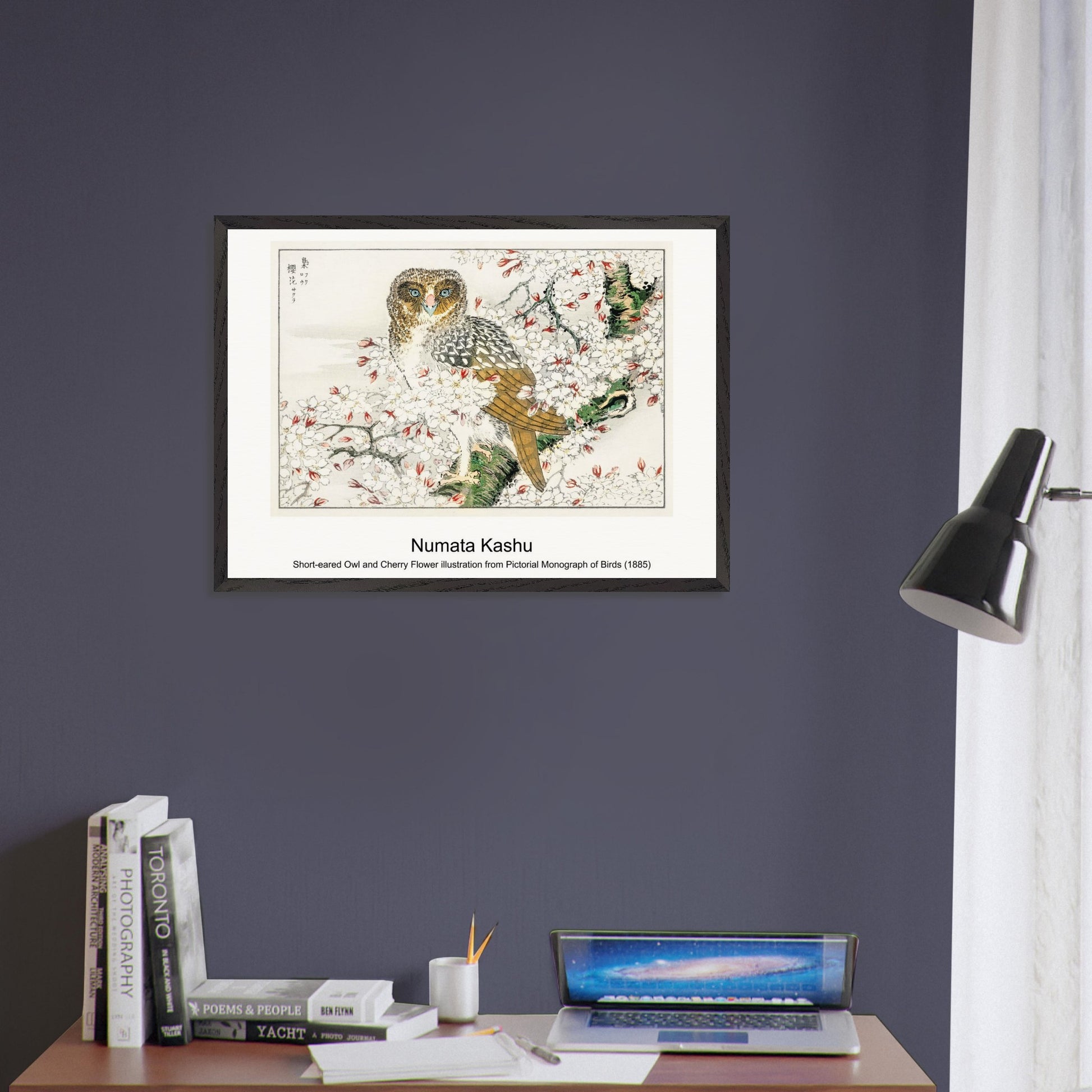 66797563-0648-4adf-9d5f-a0fb76932000