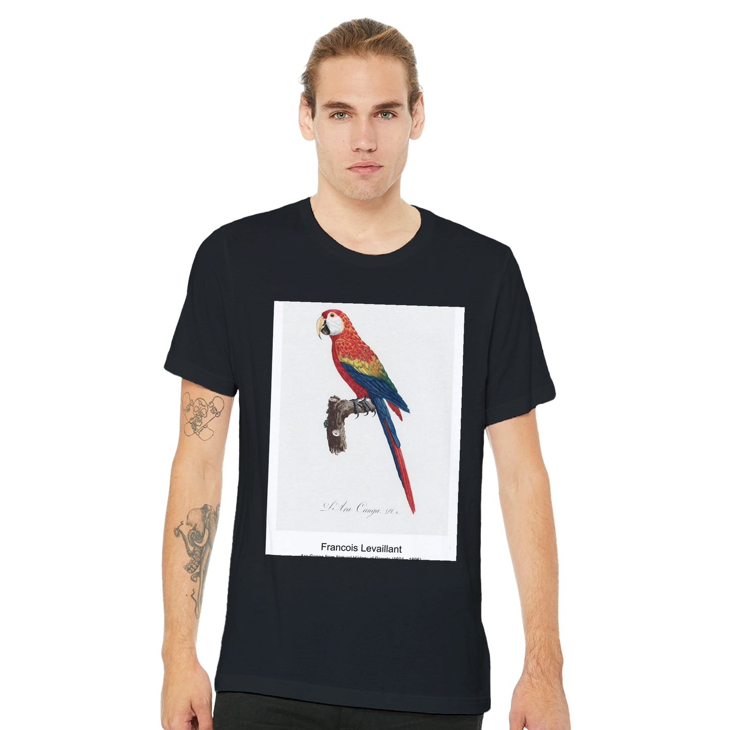 66e6a230-af38-4545-8903-616e9970a887