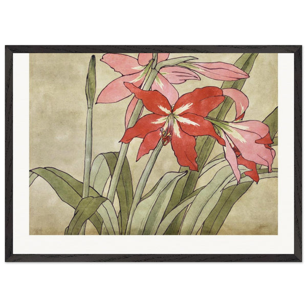 Amaryllis (1915) by Hannah Borger Overbeck. Archival Print on Museum Quality Matte Paper. Premium Wood Framed Wall Art. Original Aspect Ratio