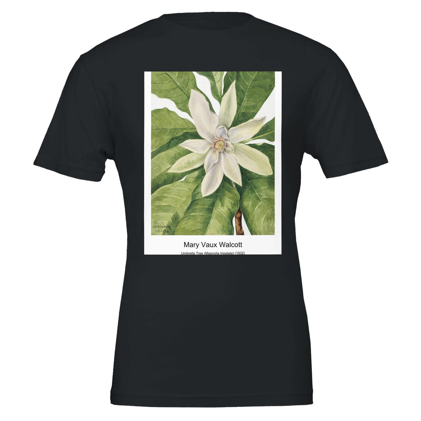 67970c10-9043-4395-bb22-b99ba15f71c4