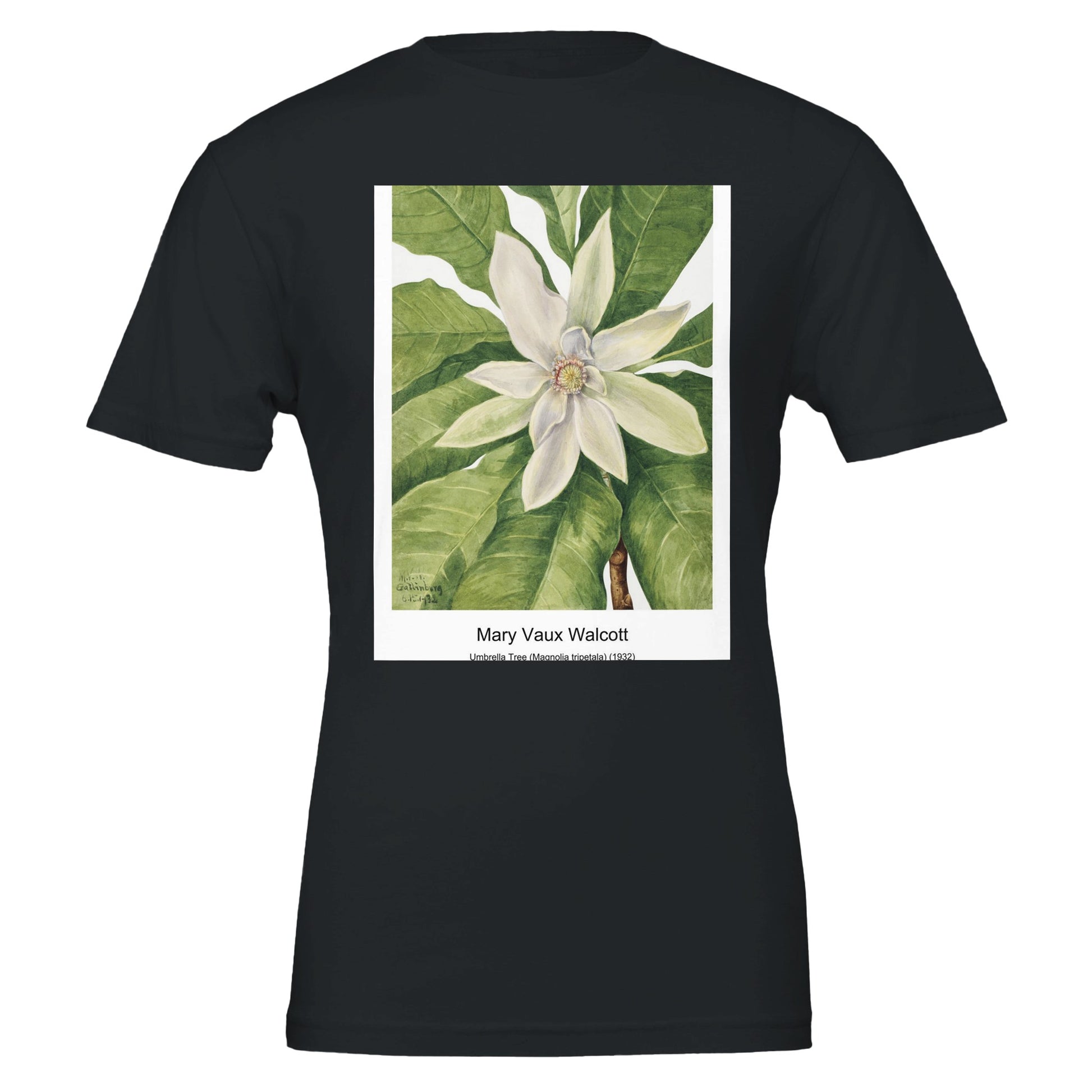 67970c10-9043-4395-bb22-b99ba15f71c4