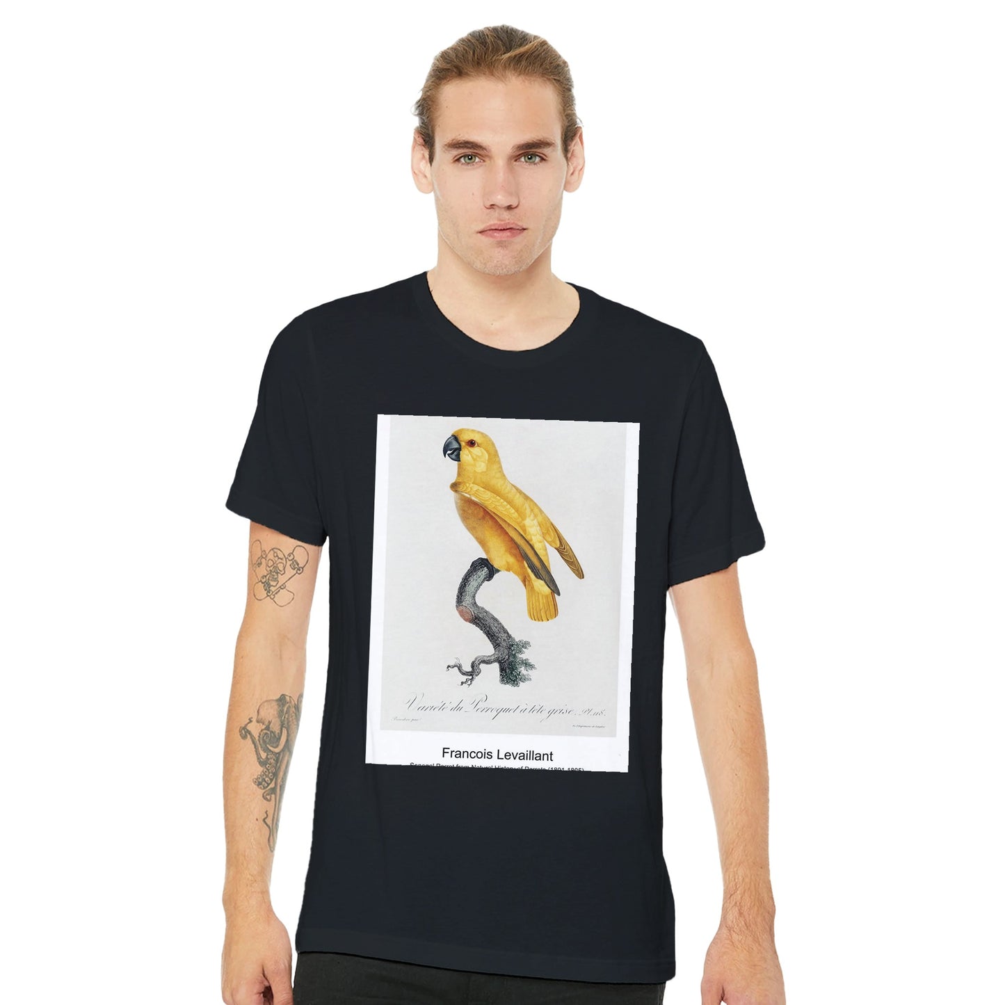 67e2097c-f5bd-42e9-9e08-24dfe498d1e9