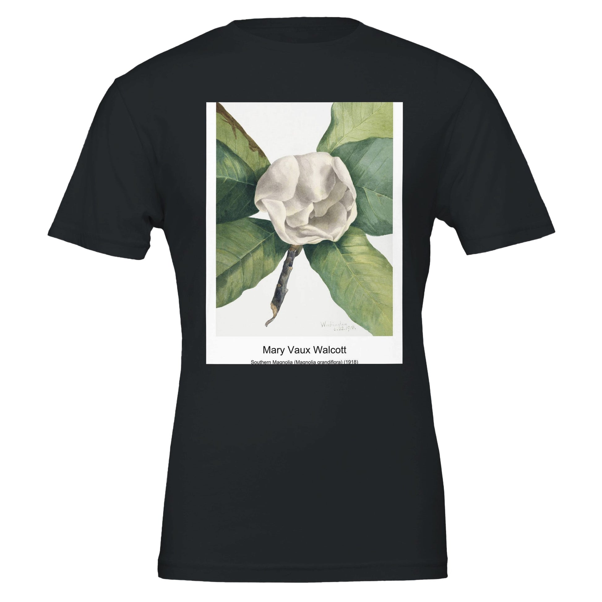 67eb74bf-fbef-46d8-b52c-b9b569e4f635