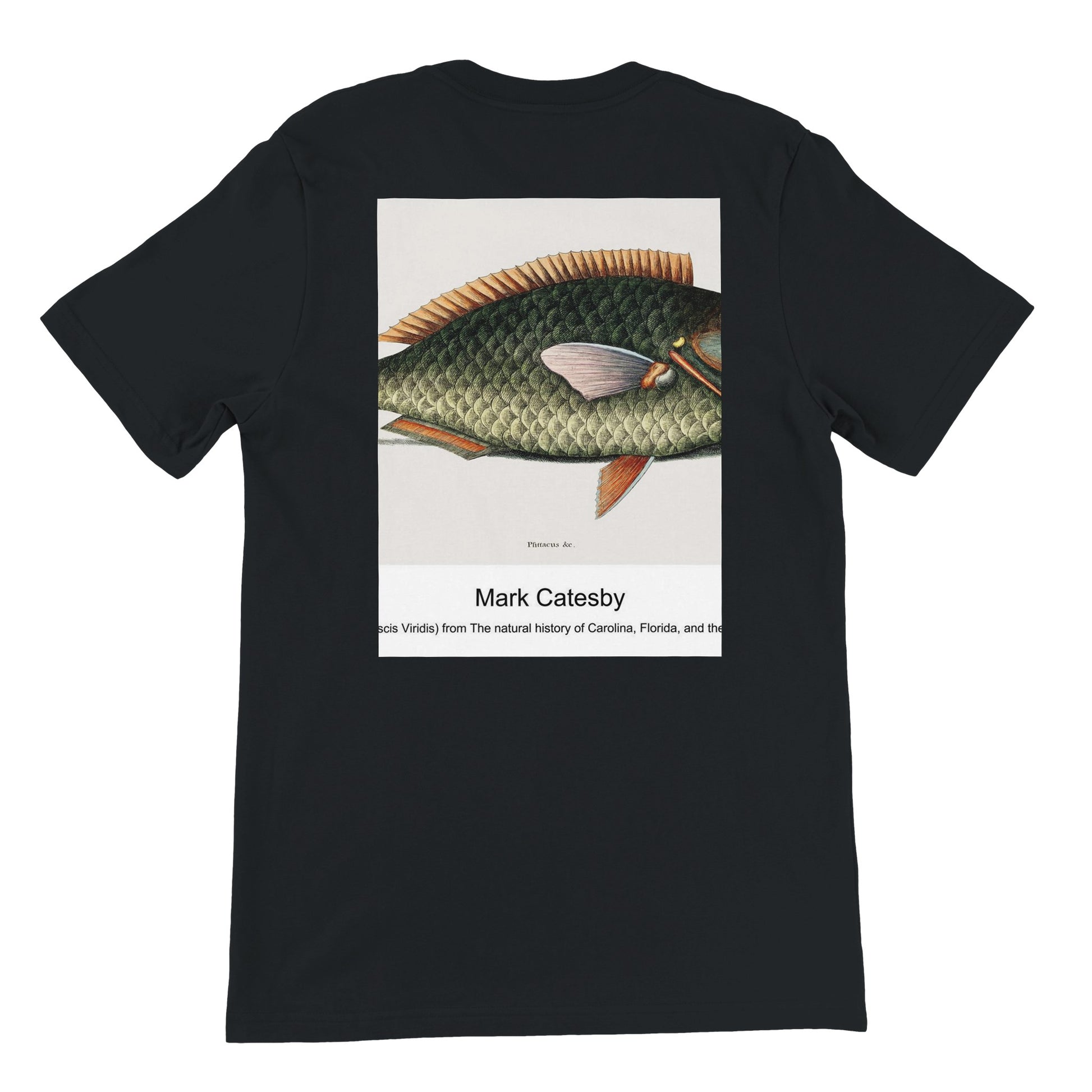 68568e13-f1ca-467e-af01-8c5bfdff1507