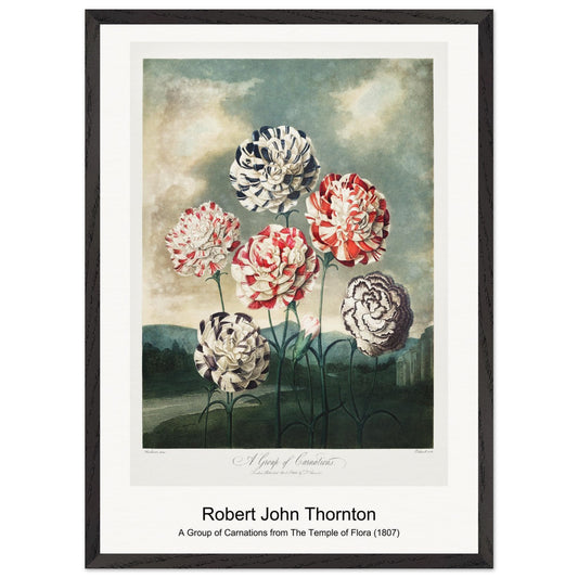 68d36e98-eec6-4f07-bfd4-3edd66afd733