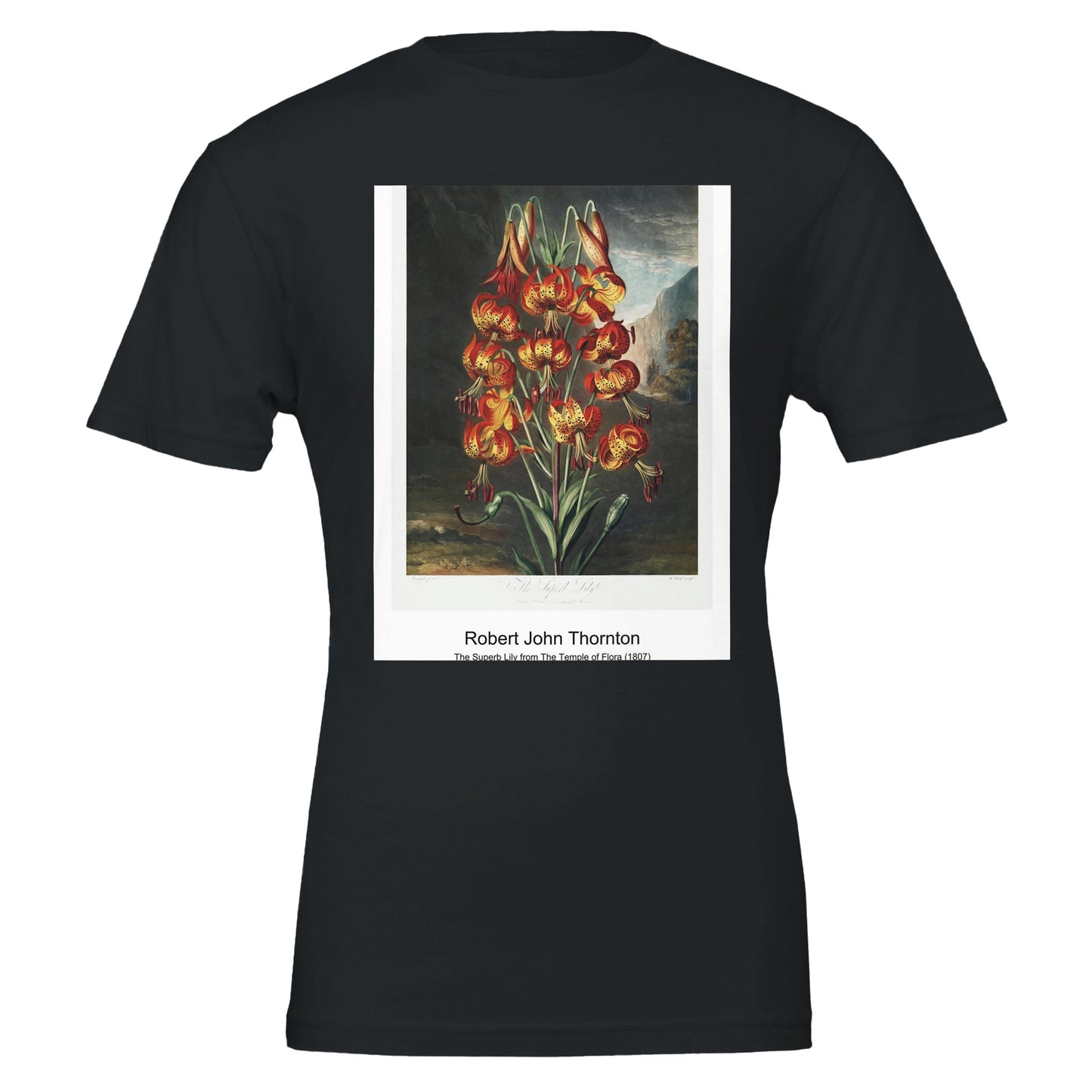 69b7e548-1568-4de3-b95d-1766941fc95e