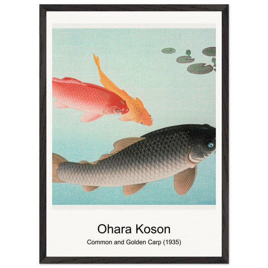 69d8656b-d228-4488-a3e5-1ab8463cfd85