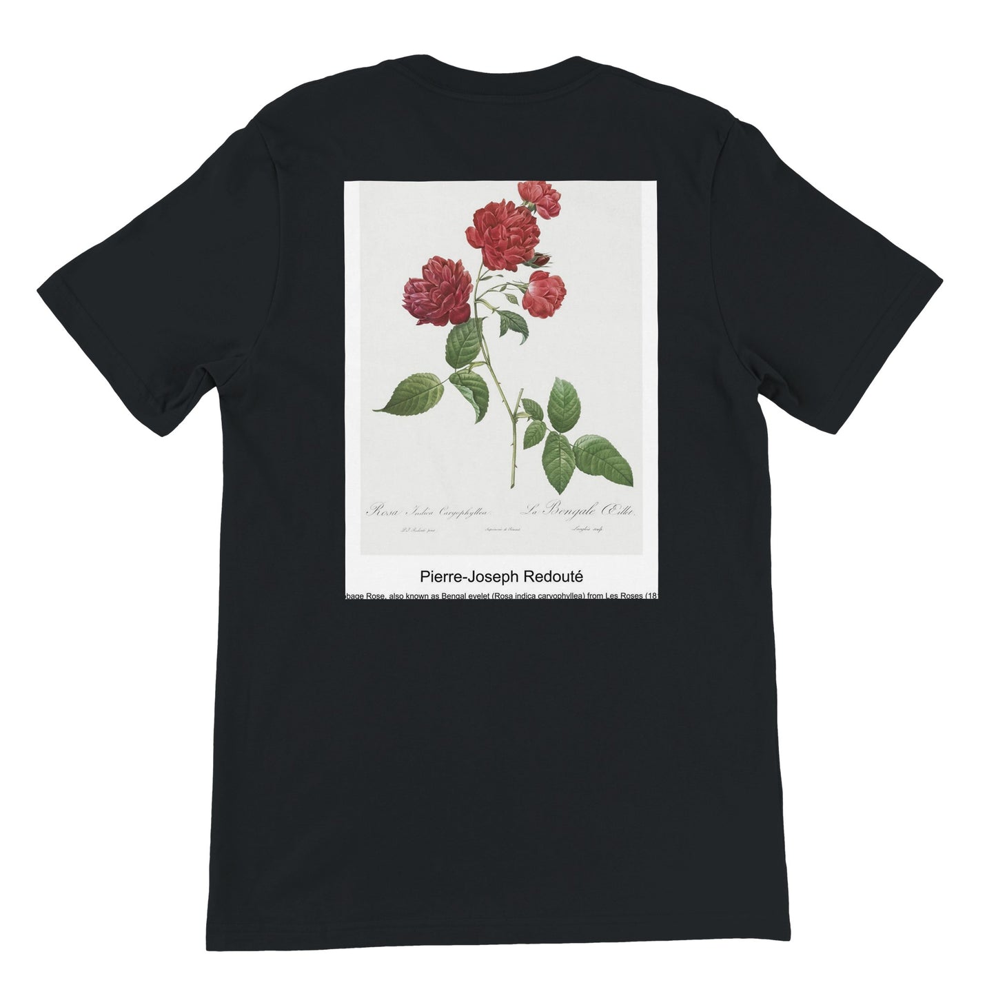 6a05e295-399c-48e1-a6ed-70d7ca9febf5