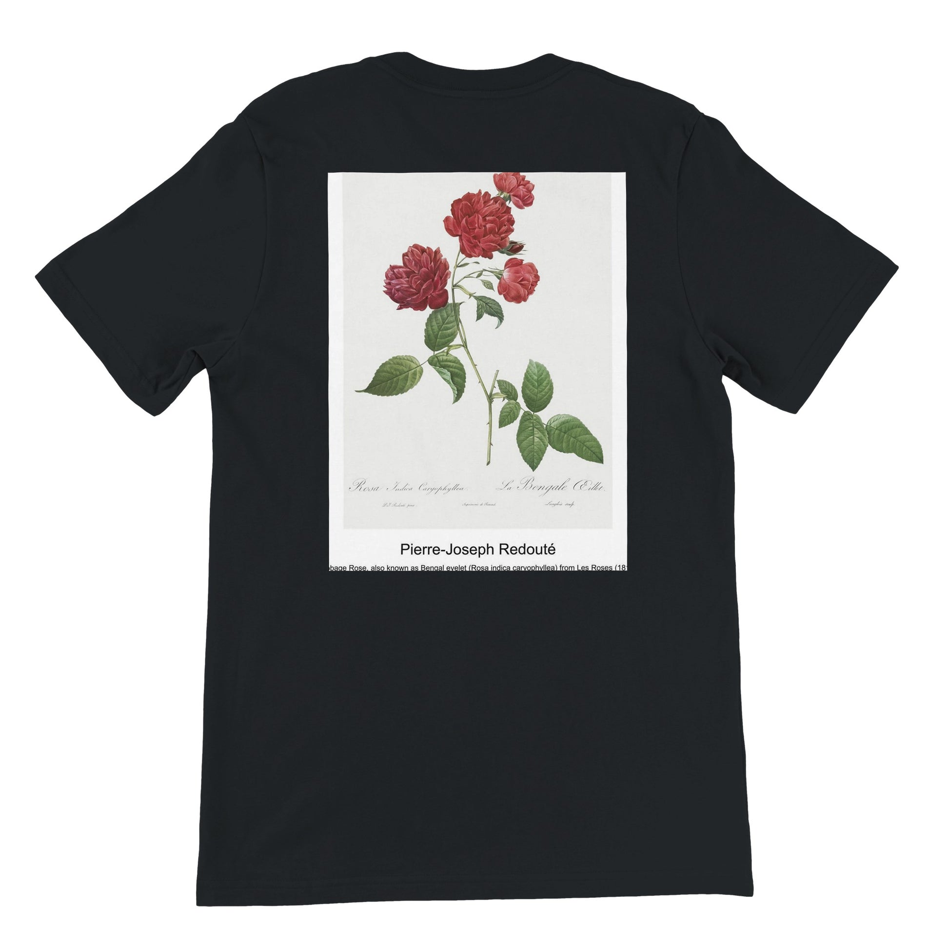 6a05e295-399c-48e1-a6ed-70d7ca9febf5