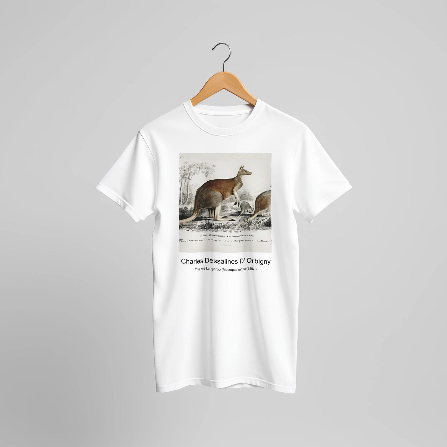 6b547894-4b40-4cb1-8b7e-ad1bf904710a