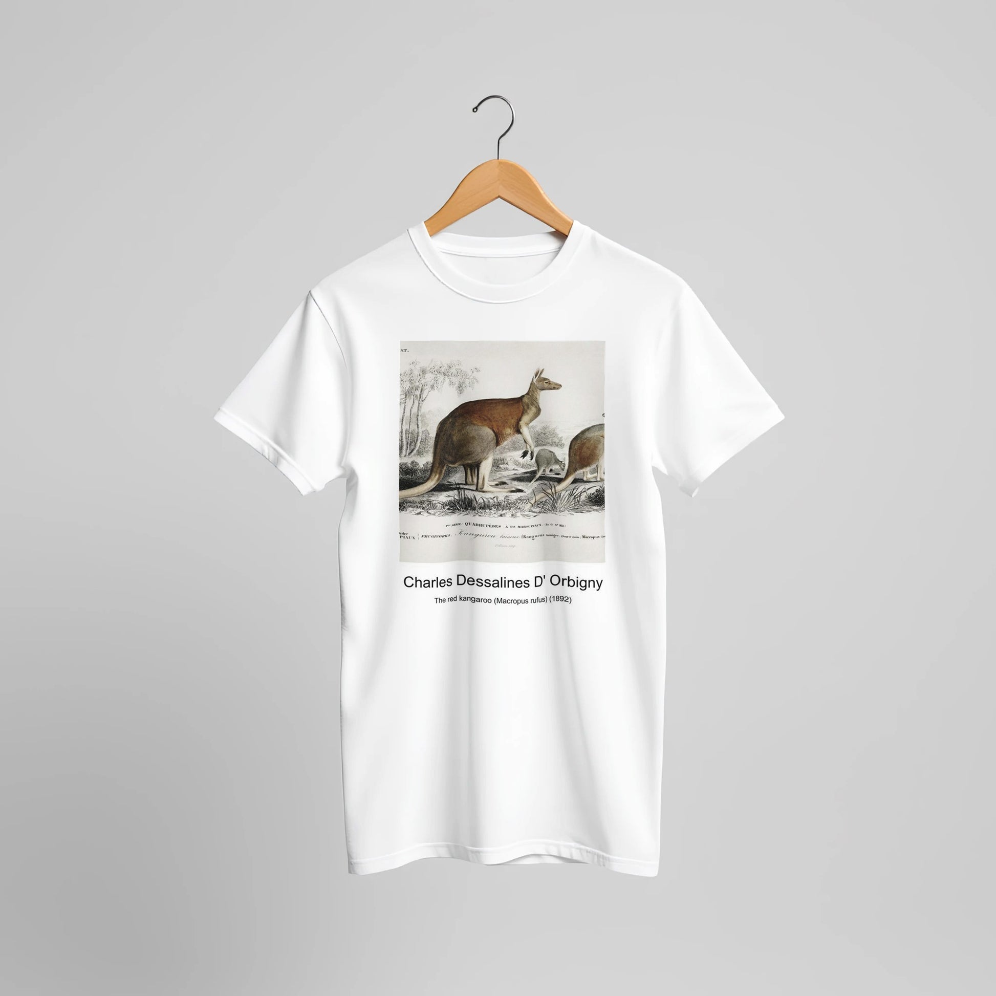 6b547894-4b40-4cb1-8b7e-ad1bf904710a