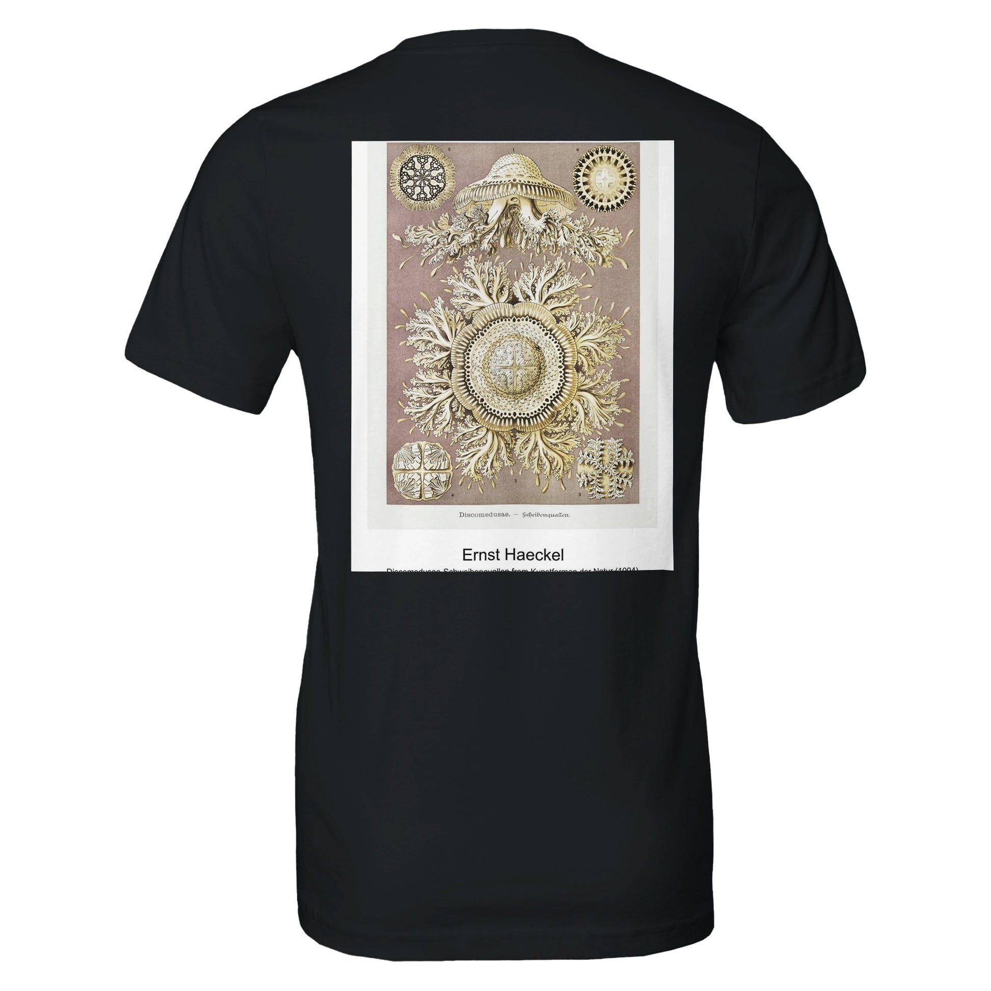 6bbab56d-763e-4192-bf05-e431d50ed74f